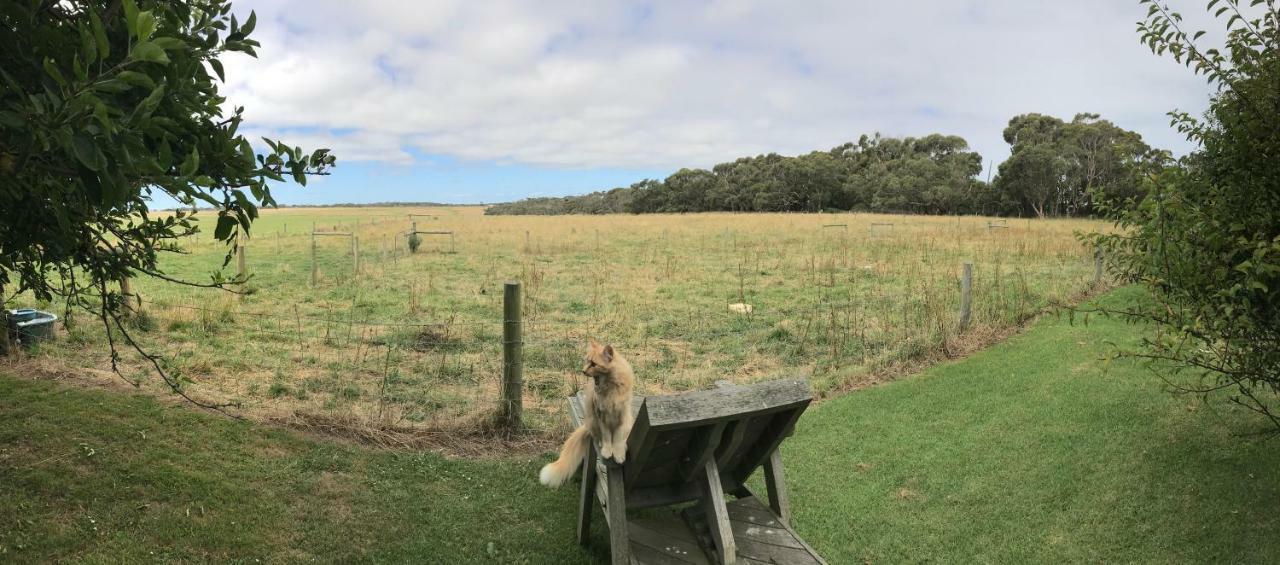 Апартаменты Langleys Port Campbell Hobby Farm Экстерьер фото